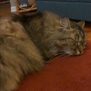 Meet your Posher, Gregory